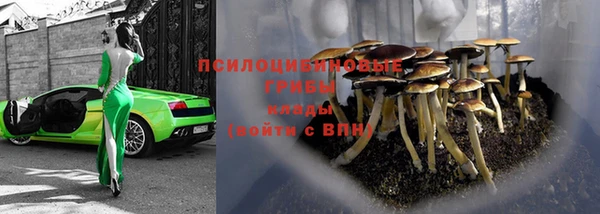 мескалин Нефтегорск